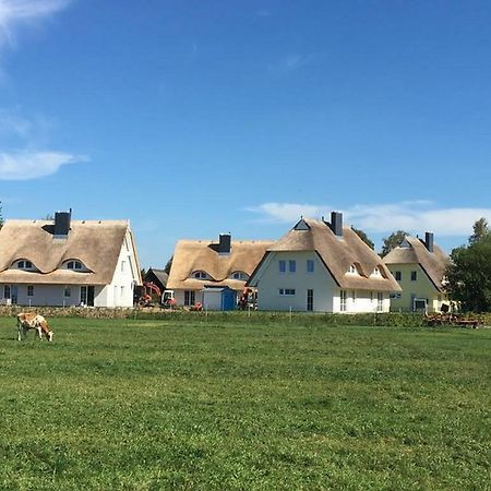 Reetdachhaeuser Boergerende Екстериор снимка